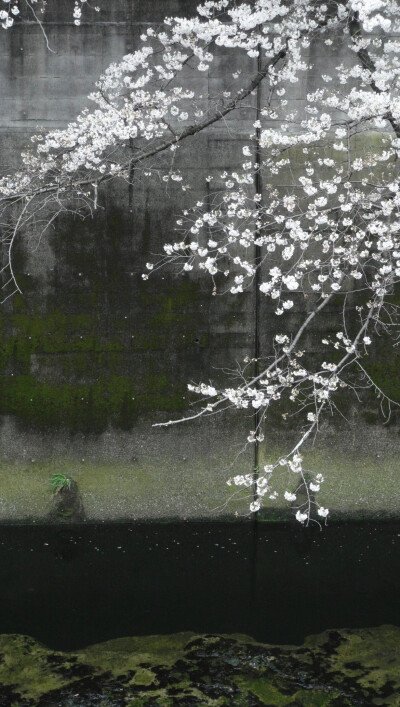 背景