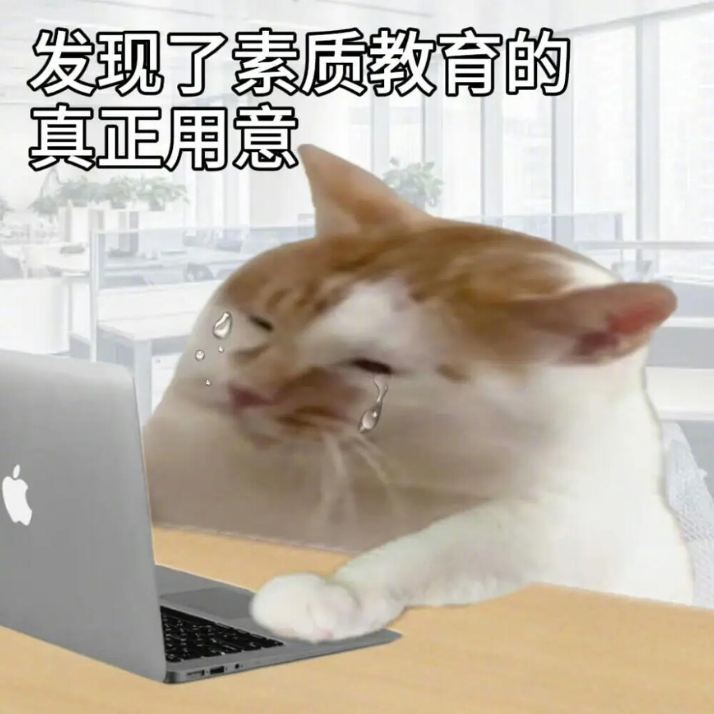 表情包丨打工人必备表情包