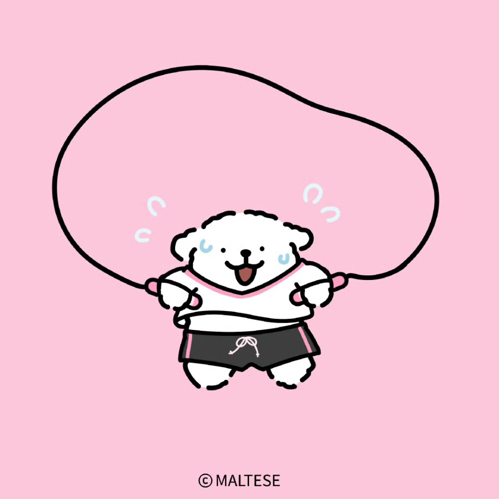 和小狗一起动起来