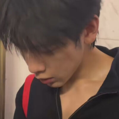 狗来狗来狗来