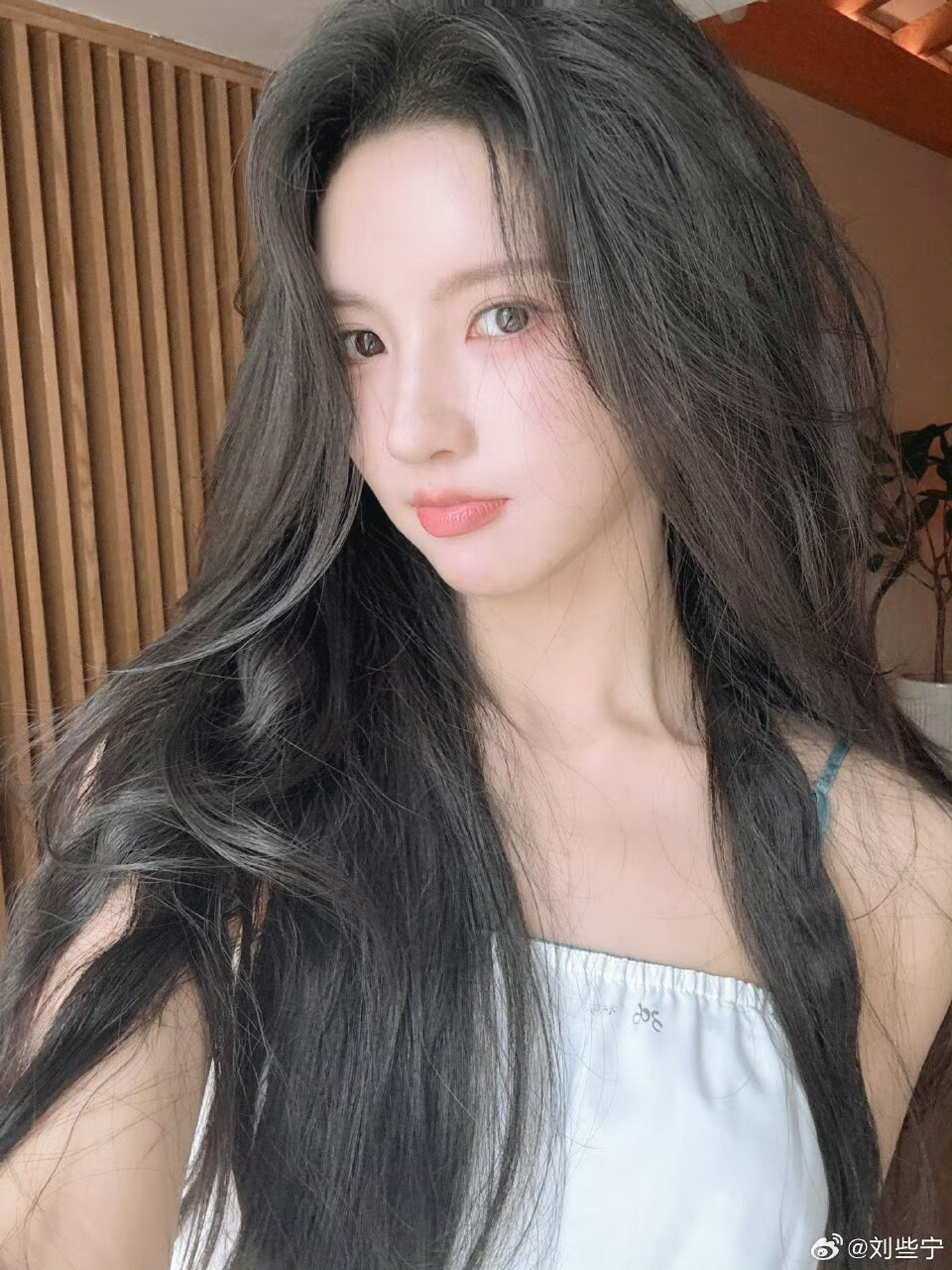 3.26｜刘些宁
礼貌抱图