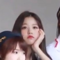 书中自有黄金兔 ​​​