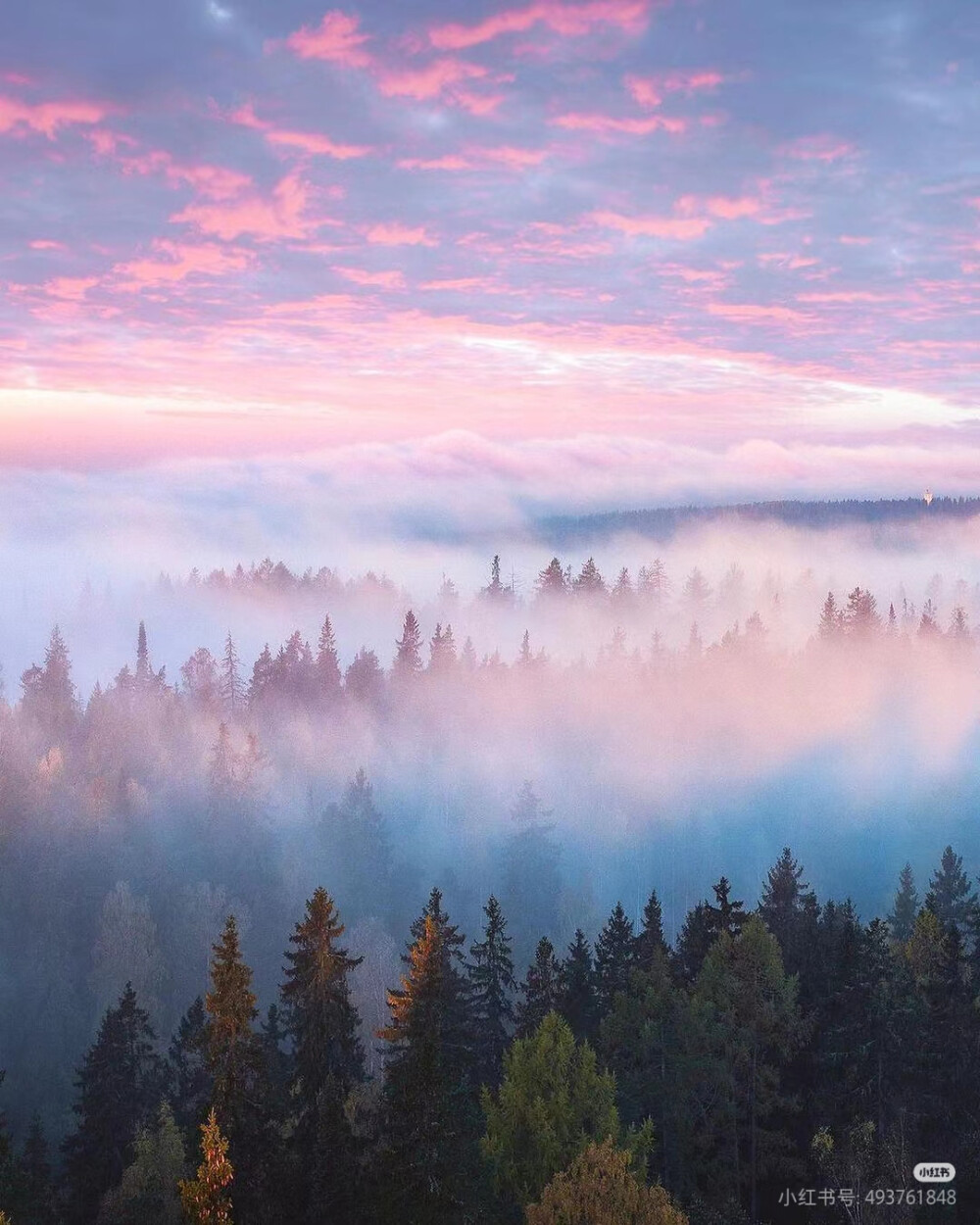 景