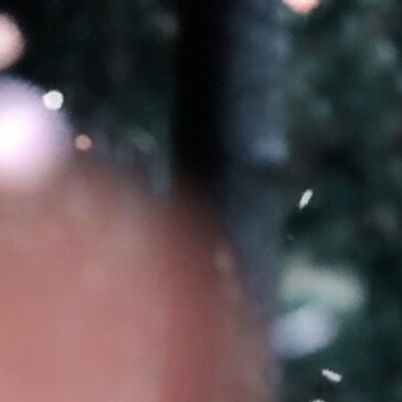 小舟从此逝 江海寄余生