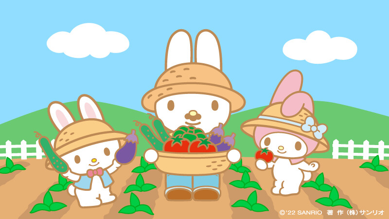 『sanrio美乐蒂』头像▪壁纸