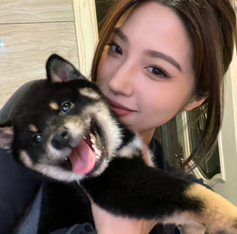 骗人的永远是人 不是小狗