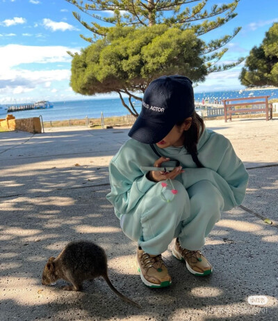 Lisa