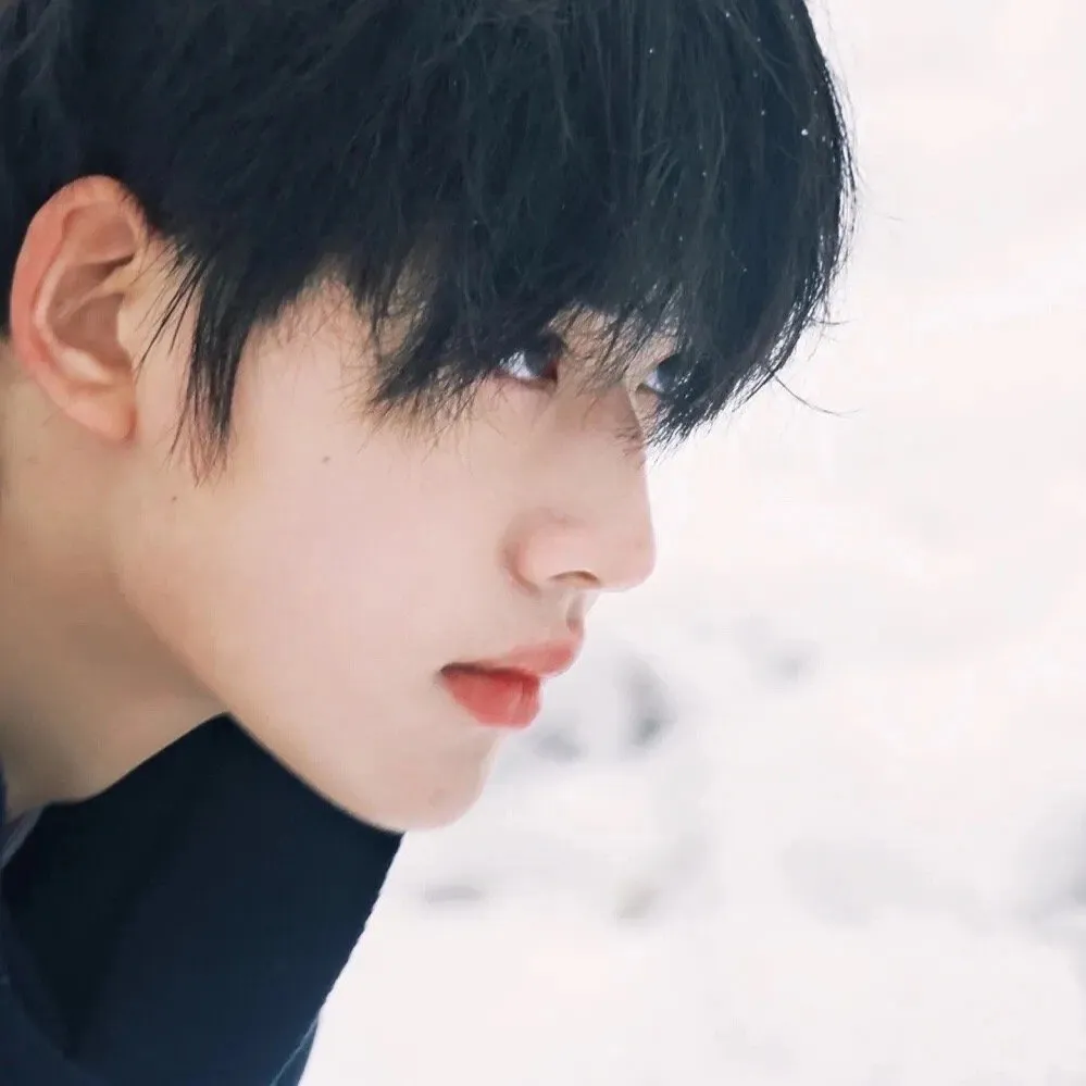 头像｜爱意随风起 风止意难平