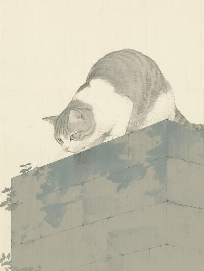 画