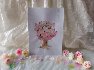 11 粉蓝鸟（绘画 | 水彩 | 果花甘02）
2018.05.28
整体如莲座，宽匙形的蓝白色叶子，像上了一层霜，叶尖带点红。
真实的粉蓝鸟，色泽柔和，像周身笼罩着一层圣母般的光，纯粹得像没有瑕疵一样。
画上的粉蓝鸟没有…