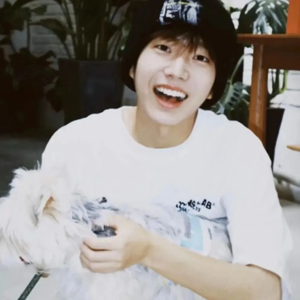 头像｜爱意随风起 风止意难平