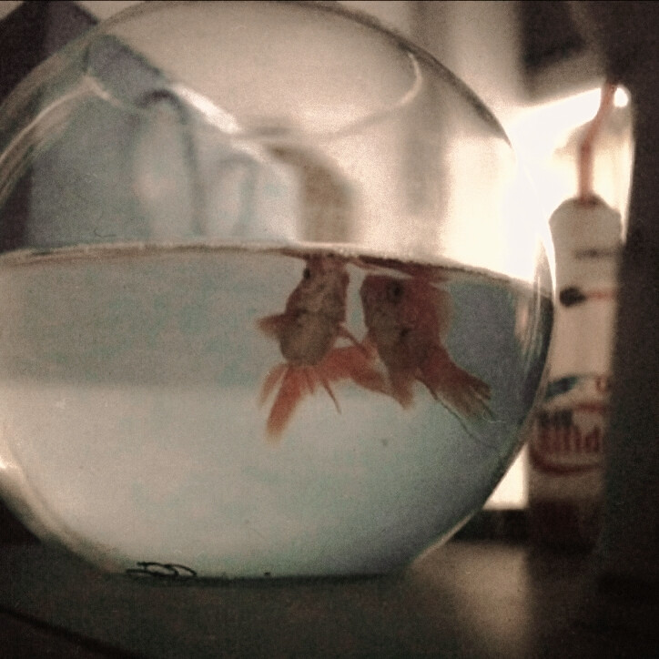 
^Band-aid painkiller 、酸涩泪…