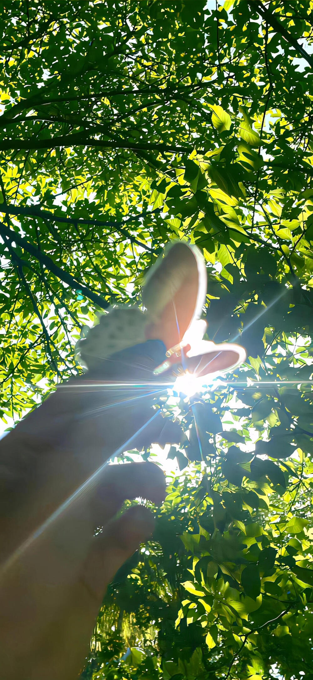 这种风格的壁纸真的爱啦！！