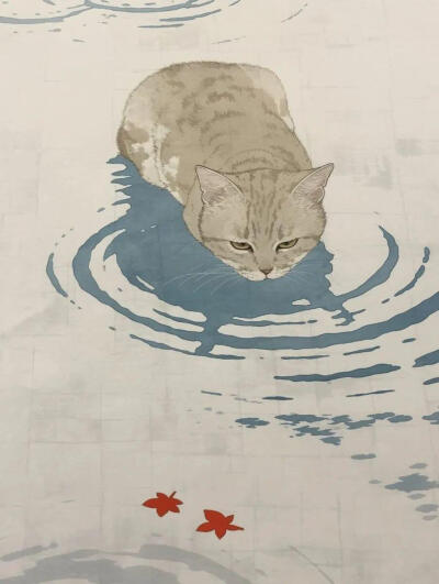 画