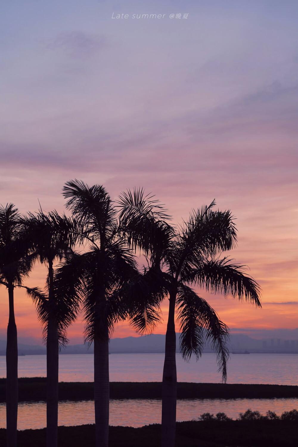 落日海边 ©晚夏