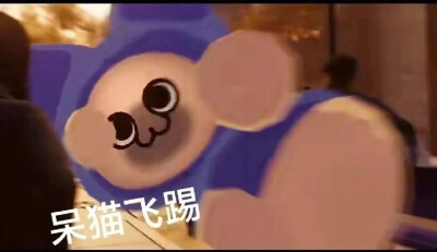 呆猫呆猫