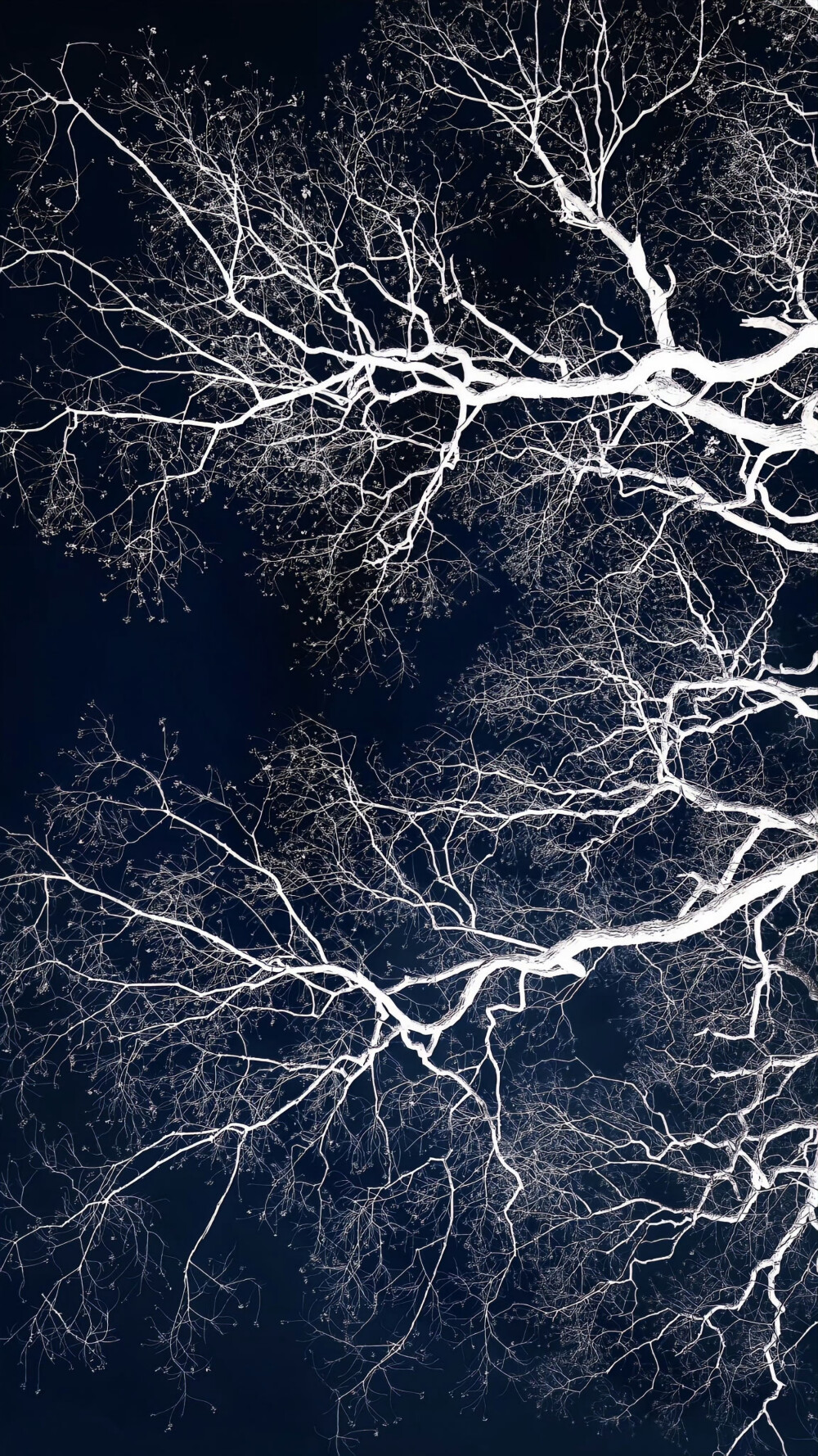 祝你逃出苦難 向春山 ​​​
#ins风壁纸#