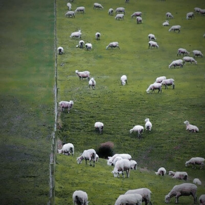 那一捧春水在你眼睛里