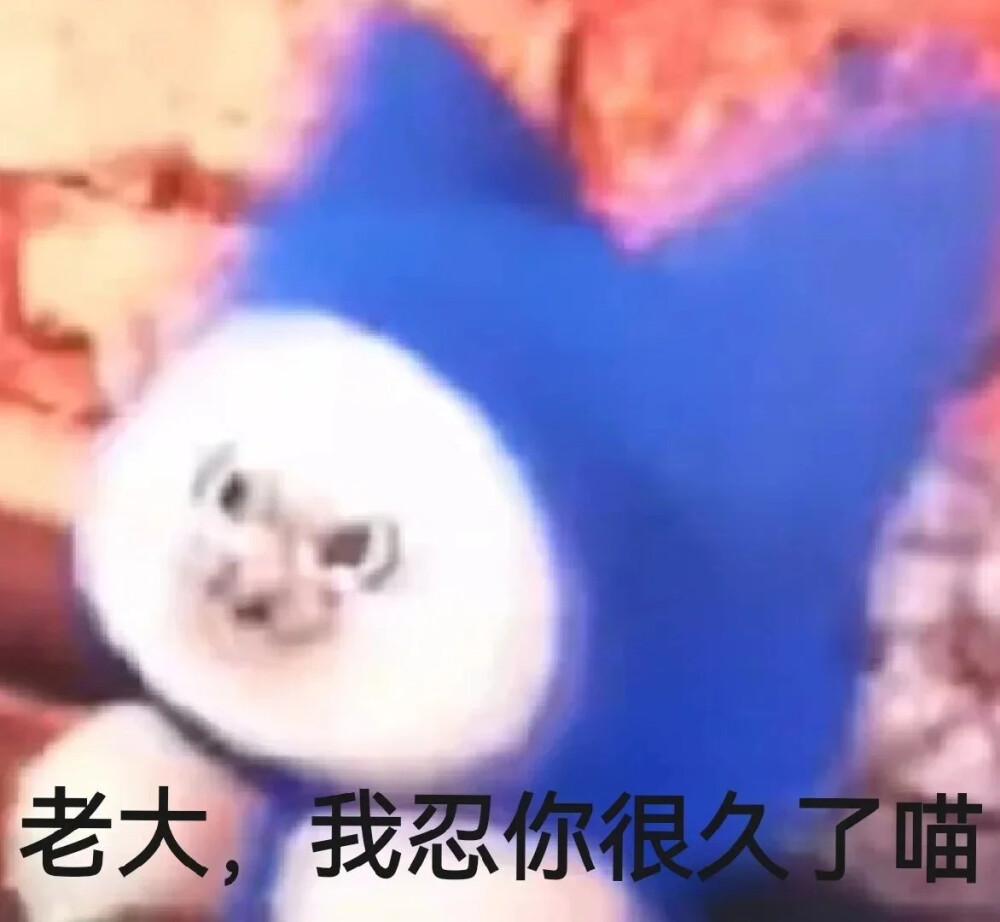 呆猫呆猫（炒菜的一个快一个慢，不是重复）