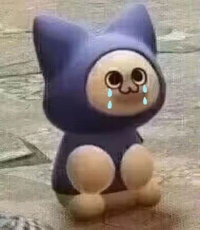 呆猫呆猫