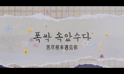 「苦尽柑来遇见你」