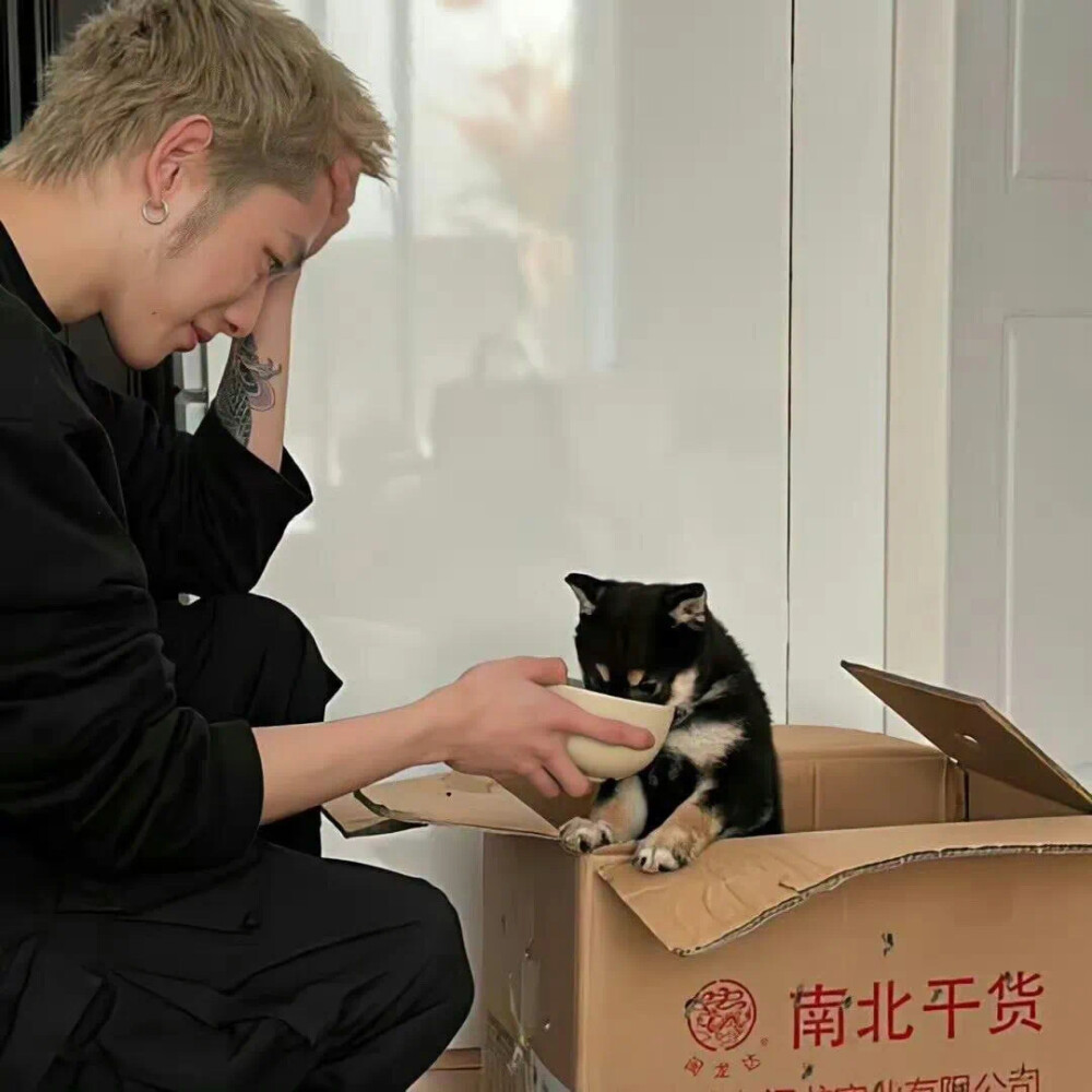 珍藏