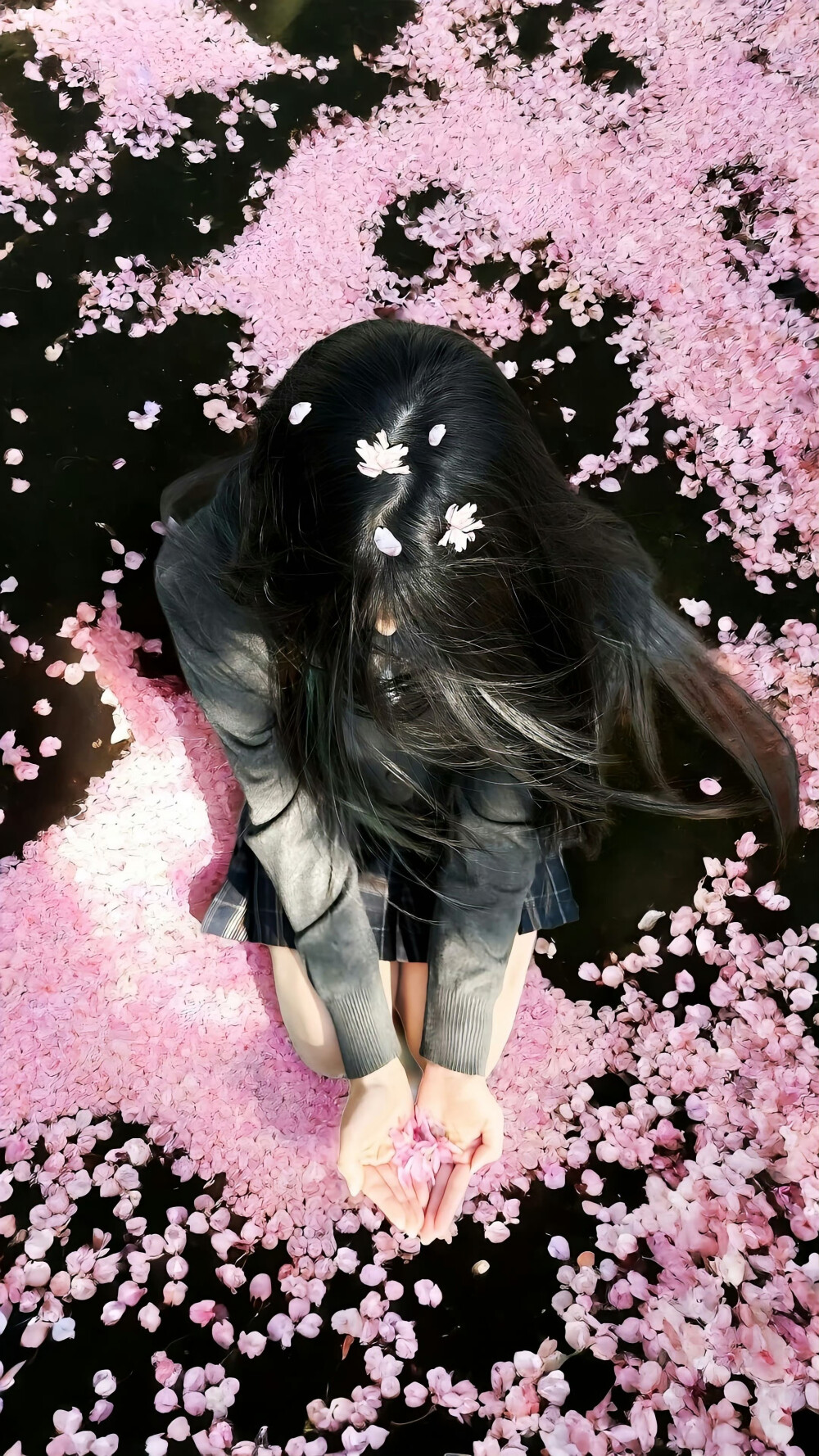 祝你逃出苦難 向春山 ​​​
#ins风壁纸#