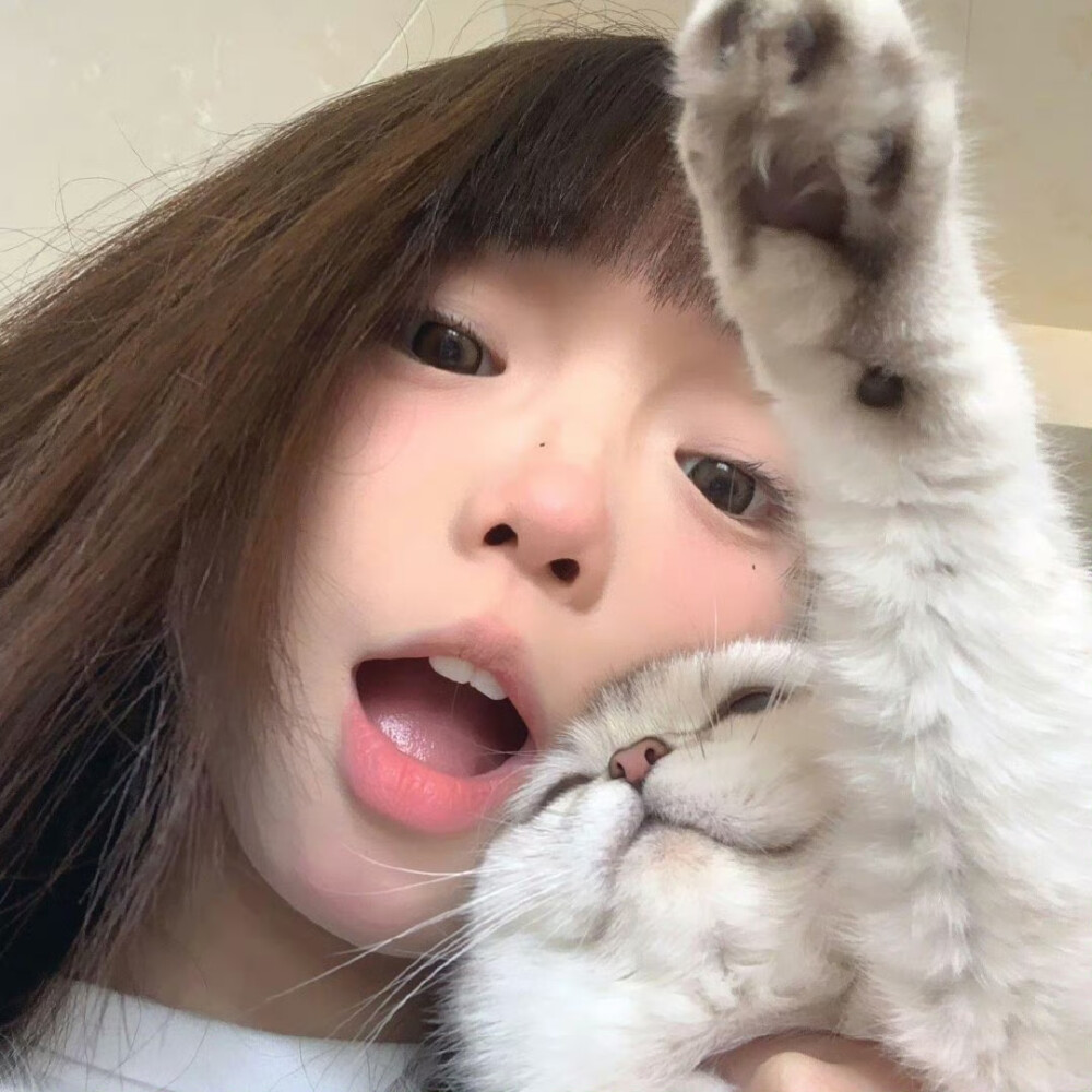 哥你听我说 喜欢就要上赶子 面子就是鞋垫子