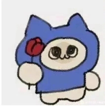 呆猫呆猫