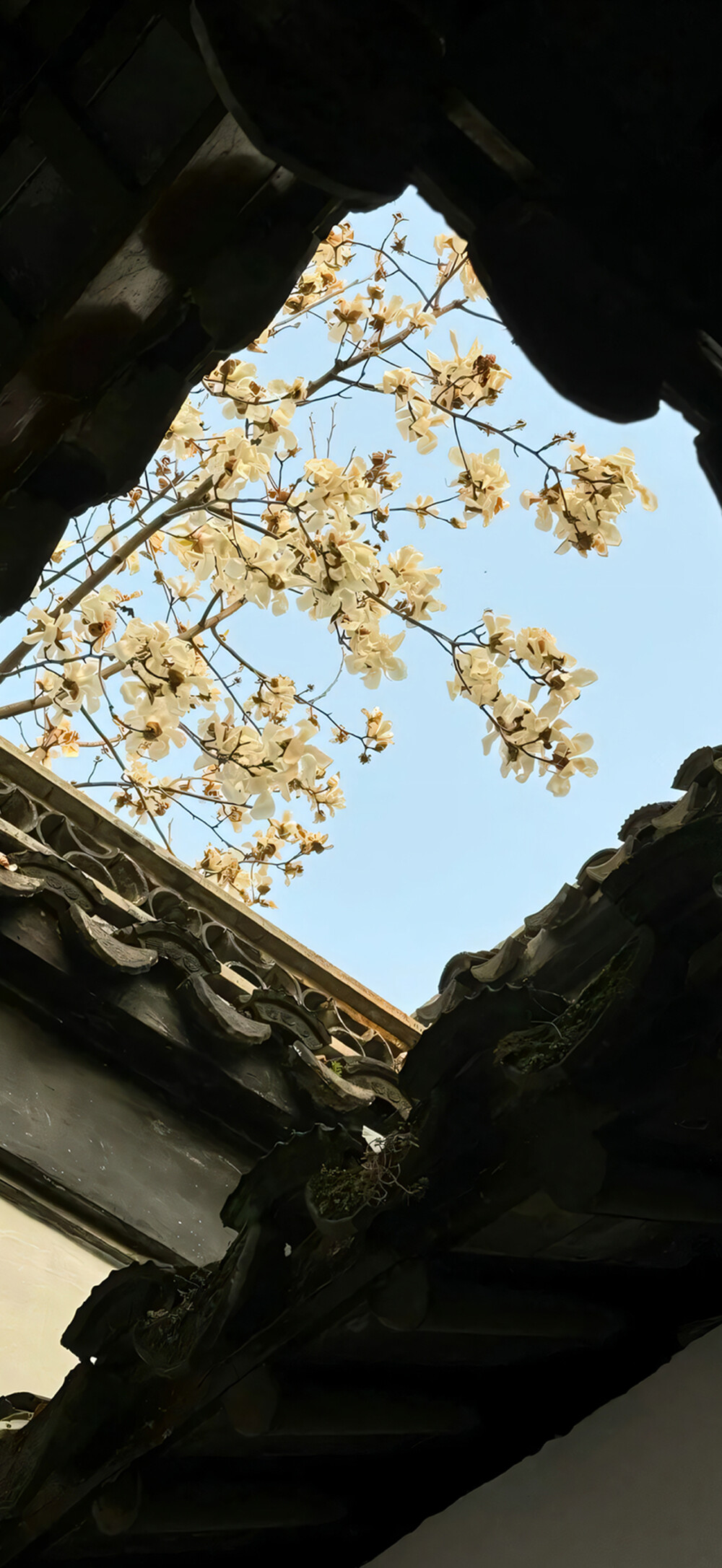 中式美学 独属于中国人的浪漫