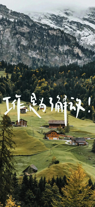 森系壁纸
