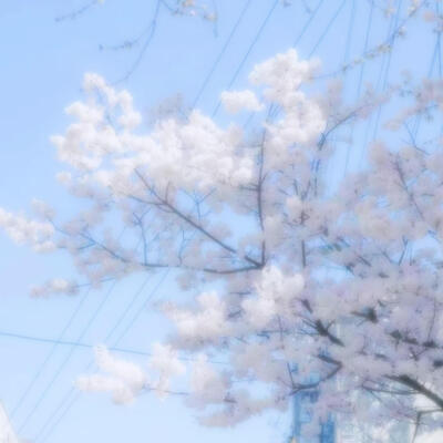 •蝴蝶^⦁᎑-^ ੭•