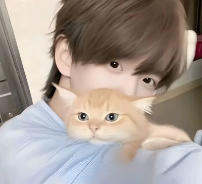 亲爱的 你可以把脆弱的一面展示给我 我不想听你说没事.