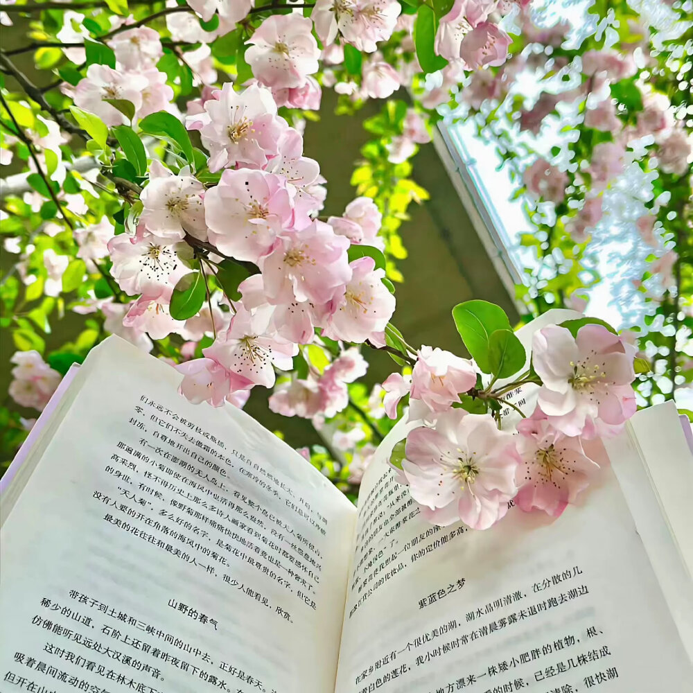 微信背景图