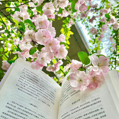 微信背景图