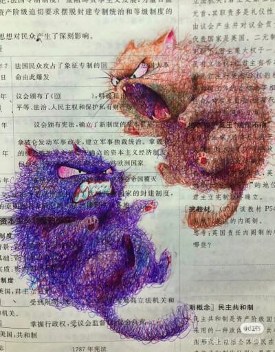 喵喵