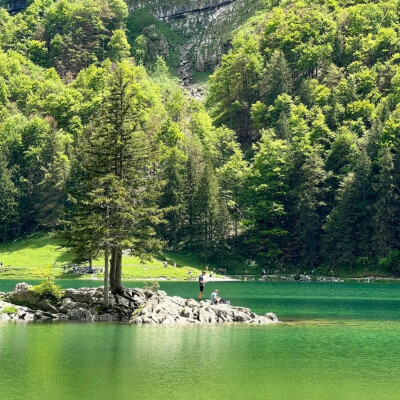 风景背景图