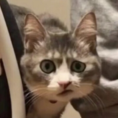 。