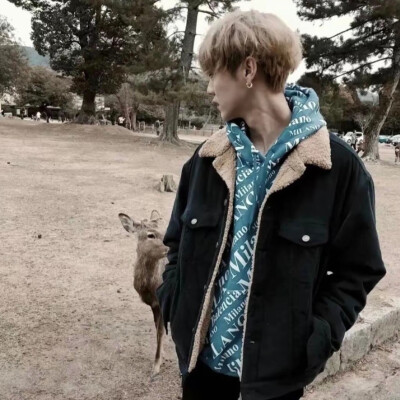 鹿晗