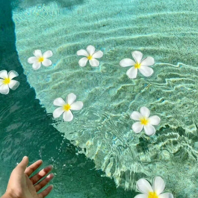 背景图