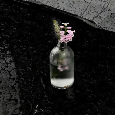 于是被爱变成难得的事情