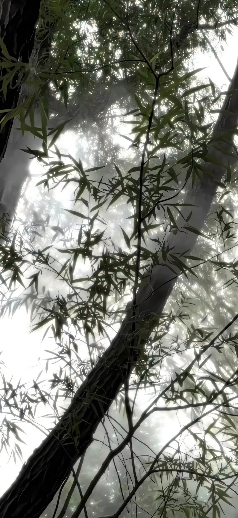 中式美学 独属于中国人的浪漫