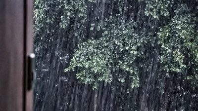 下雨橙光素材
