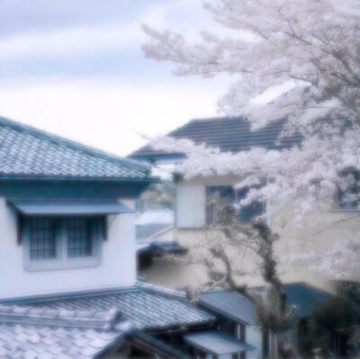 •蝴蝶^⦁᎑-^ ੭•