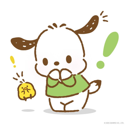 帕恰狗