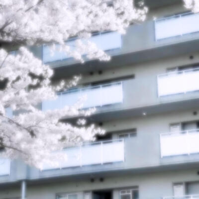 •蝴蝶^⦁᎑-^ ੭•