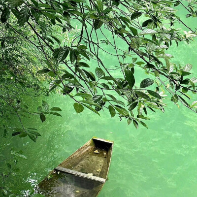 背景图