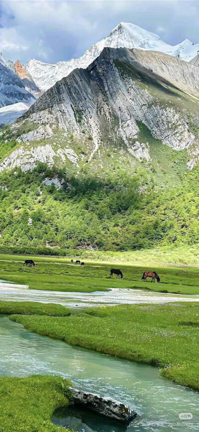 美景
