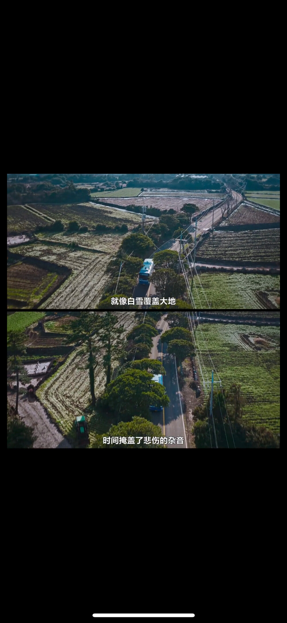 苦尽柑来遇见你