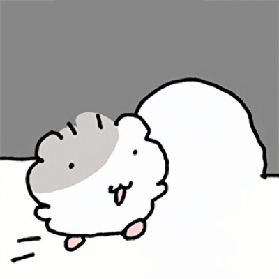 somchi棉球仓鼠
